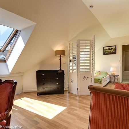 Le Theleme - Duplex Apartment In Annecy Balcony & Parking 800M From The La Buitenkant foto